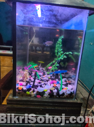 AQUARIUM FOR SALE WITH FISHES,DECORATION AND Power Filter